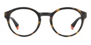 Polaroid PLD D568 N9P Men's Glasses Tortoiseshell Size 51 - Private Health Rebate - Blue Light Block Available