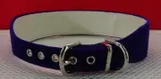 Evans Collars 1 1/4" Shaped Collar Size 18 Solid Cotton Passion Purple TF