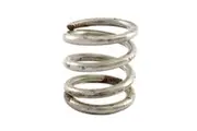 Paramount P450 Multiport Valve Spring