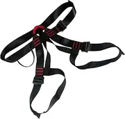 Climbing Harness, Half Body Rock Climbing Safety Harness, Comfortable Security Equipment Outdoor Protection Gear for Beginnerss, Professionals
