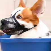 Pet Dog Adjustable Mask Stop Bark Bite Mesh Mouth Muzzle Grooming Chewing