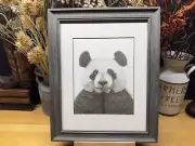 Drawing of a Giant Panda Bear Graphite Pencil Art Sketch Picture Print