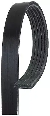 Drive Belt Ribbed Fits Saab 9000 2.0 0161KP5