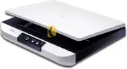 Avision FB5000 A3 Flatbed Scanner - High-Speed Document and Photo Scanner, Professional Quality for Archiving, Graphic Design, and Large-Format Scanning
