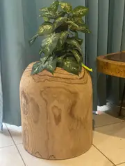 Side timber drinks Table, Stool or Plant pot of Paulownia wood design_Model03.