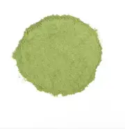 Wheatgrass Powder | Organic & Kosher BULK (Free Shipping)