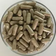 ORGANIC Lagerstroemia Speciosa Capsules Banaba Leave Corosolic Acid Low Sugar