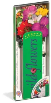 Fandex Family Field Guides: Wildflowers [With Deck of 50 Die-Cut Cards] by Ruth