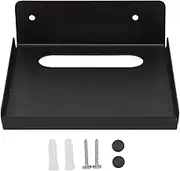 ElgnAura Floating Shelf for WiFi Router, Stainless Steel Wall Mount Shelf, Small Wall Shelf for Modem, Gaming System & Streaming Media Device