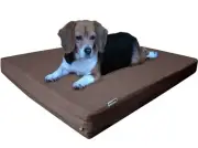 Medium Large Brown Denim Pet Dog Bed Orthopedic Waterproof Memory Foam 37x27x4"