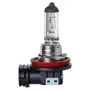 Ignite H11 55W Halogen Globe with PGJ19-2 Base - IGL2112BL
