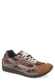 Bottega Veneta Orbit Low Top Sneaker in 2419 Star Anise/Pinecone at Nordstrom, Size 10Us