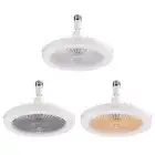 Aroma Fan Ceiling Light with Remote Control Timing 5-balde for Bedroom Dormitory