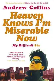 Heaven Knows I'm Miserable Now: My Difficult 80s Book