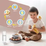 12 Eggs Incubator Automatic Hatching Duck Chicken Quail Hatcher with Turner