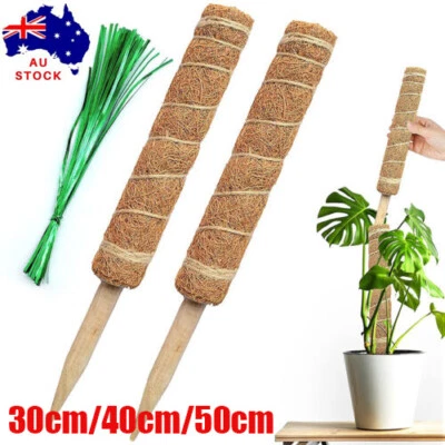 Coir Moss Totem Pole Creeper Plant Support Climbing Extension Stick 30/40/50CM