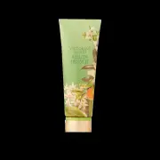 Victoria's Secret Melon Drench Fragrance Lotion