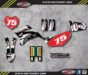 Yamaha TTR 125 / 2008 - 2016 sticker kit SAFARI style decals Fully Custom