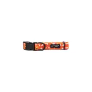 The Stubby Club BBL Perth Scorchers Licensed Adjustable Nylon Dog Collar Small
