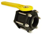 Pacer P-58-1906V Ball Valve Camelot 2" Polypropylene FNPT Full Port