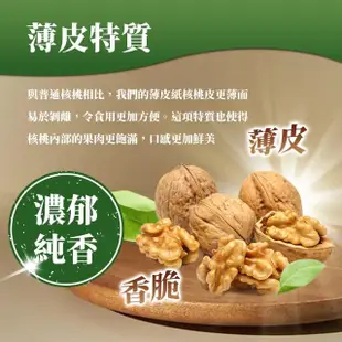 【西域果園】新疆紙皮核桃500g(新疆185紙皮核桃 可手撥殼 24入一箱)