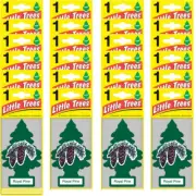 24 Pcs Little Trees Royal Pine Scent Car & Home Hanging Air Fresheners