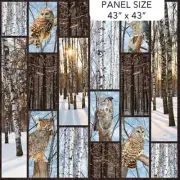 43" X 44" Panel Owls Woods Naturescapes Solitude Cotton Fabric Panel D482.64