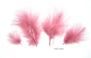 Marabou Feathers Small 1-3" fluffs DUSTY ROSE PINK 7 grams approx 105 per bag