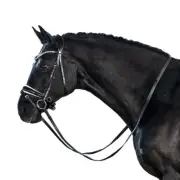 Lara Tweedie Patent Essential Snaffle Bridle