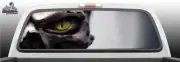 Skull with Eyes Perforated Perf Rear Window Graphic Decal SUV Truck Car