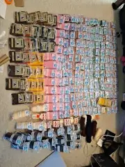 Massive Lot Of 230 Units Of Columbia Minerva/ Caron Rug Yarn
