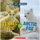 Hot and Cold Animals: Fennec Fox or Arctic /Scholastic出版社旗艦店