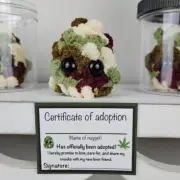 1X(Adopt A Plushie,Jar Funny Plush Desktop Accessories B N7P5)1435