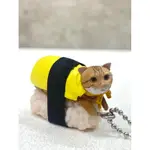 日本公仔 精緻壽司貓咪