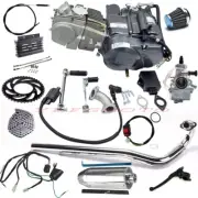 Lifan 150cc Engine Motor Full Kits for Motorcycle Pit Dirt Bike Mini Trail 140cc