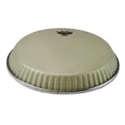 Conga, Symmetry, 11.06 D2, Nuskyn Drum Head