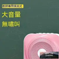 在飛比找Yahoo!奇摩拍賣優惠-【現貨】擴音機 擴音器 小蜜蜂 麥克風 小蜜蜂擴音器麥克風教