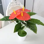 假花50厘米桌擺紅掌仿真植物花盆栽盆景套裝小型裝飾花卉客廳擺設