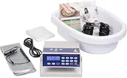 Ionic Detox Foot Bath Machine Birthday Gift Foot Spa Cleanse Negative Hydrogen System with Professional Tub Basin 10 Liners, 2 Ion Cleanse Arrays (All Accessories Included)