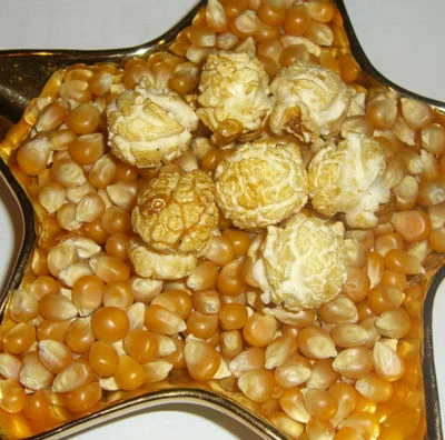 MAGIC Mushroom GIANT Kernel Popping Corn 1 lb Bags