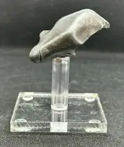 SIKHOTE-ALIN INDIVIDUAL METEORITE FROM RUSSIA 48,0 g