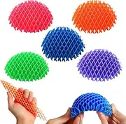 5 Pack Mini Fidget Worm Toys for Kids, Elastic Mesh Toys, Stress Relief Sensory Toys