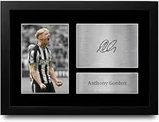 HWC Trading FR A4 Anthony Gordon Magpies Gifts Printed Signed Autograph Picture for Football Fans and Supporters - A4 Framed
