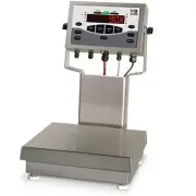 Rice Lake, CW-90X-10, Over/Under Washdown Checkweigher, 10lbx0.002lb 115VAC NTEP