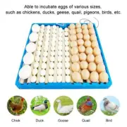 Egg Turner Roller Tray 70-108 Eggs Hatching Incubator Duck Quail Bird Accessory