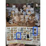 貓之島-白虎貓 暹羅貓 零售
