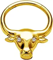 [CHARMONLINE] 16G G23 Titanium oxhead Daith Hoop Earring CZ Hinged Segment Nose Ring 8/10mm Inside Diameter Clicker Helix Ear Piercings for Women Men