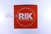 RIK PRTO409603D 0.50 FOR TOYOTA 1KZ-TE CHROME M-96.00-0.50-2K-2-3