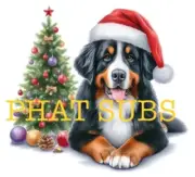 Sublimation Print Bernese Mountain Dog Christmas Ready to Press Heat Transfer