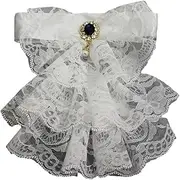 [LIGSLN] Victorian False Collar Detachable Dickey Blouse Vintage Lace Neck Ruff Ruffle Collar Layered Clown Neck Collar Tie White, White, Medium